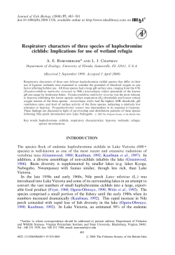 Respiratory characters of three species of haplochromine cichlids