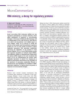 RNA mimicry, a decoy for regulatory proteins