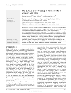 The S.ma.I2 class C group II intron inserts at integron