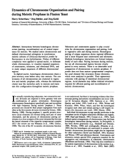 Dynamics of Chromosome Organization and Pairing