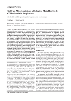 Original Article Pig Brain Mitochondria as a