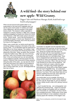 A wild find- the story behind our new apple- Wild