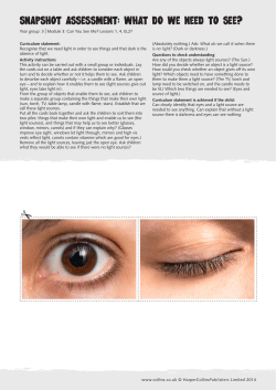 SNAPSHOT ASSESSMENT: WHAT DO WE NEED TO SEE?