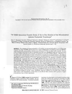 ABSTRACT: The exchange of intramitochondrial ATP (ATPi,) for