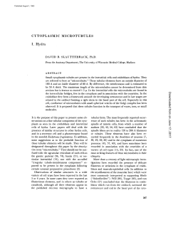 CYTOPLASMIC I. Hydra - The Journal of Cell Biology