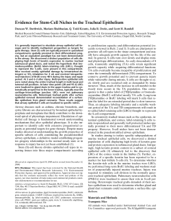 Evidence for Stem-Cell Niches in the Tracheal Epithelium