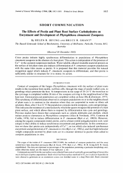 SHORT COMMUNICATION The Effects of Pectin and