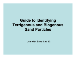 Guide to Identifying Terrigenous and Biogenous