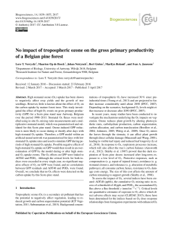 No impact of tropospheric ozone on the gross