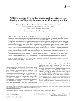 AtMBD6, a methyl CpG binding domain protein, maintains gene