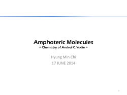 Amphoteric Molecules