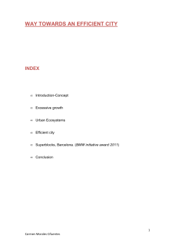 Carmen Morales Cifuentes, Way towards an efficienct city