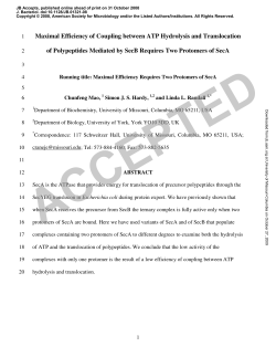 Maximal Efficiency of Coupling between ATP Hydrolysis and