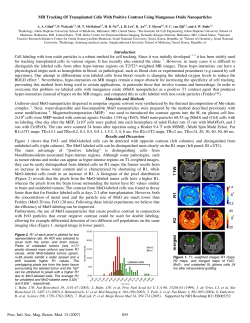 MR Tracking of Transplanted Cells with Positive Contrast