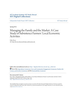 Managing the Family and the Market: A Case Study of Subsistence
