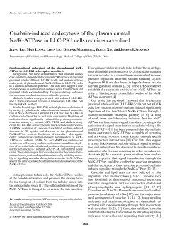 Ouabain-induced endocytosis of the plasmalemmal Na/K