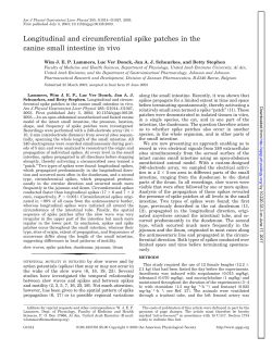 Longitudinal and circumferential spike patches in the canine small