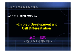 11. Embryo development and Cell differentiation