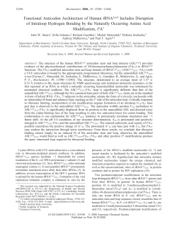 Functional Anticodon Architecture of Human tRNALys3 Includes
