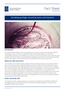 Avoiding spoilage from lactic acid bacteria