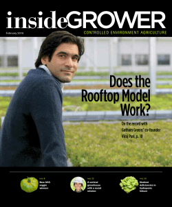 Does the Rooftop Model Work?