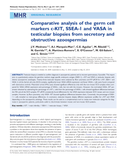 Comparative analysis of the germ cell markers c-KIT, SSEA