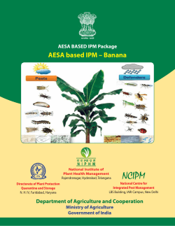 AESA based IPM &ndash; Banana