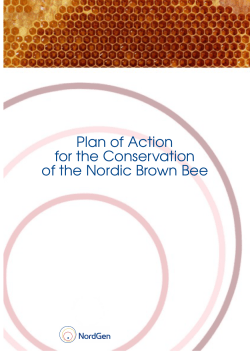 Plan of Action