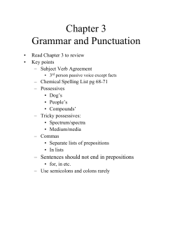 Chapter 3 Grammar and Punctuation