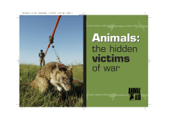 Animals: the Hidden Victims of War booklet