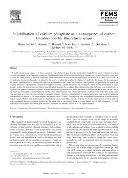 Solubilization of calcium phosphate as a consequence of carbon