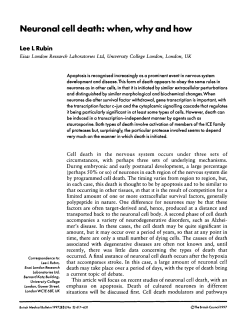 Neuronal cell death