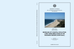 modeling of coastal evolution: long term simulation
