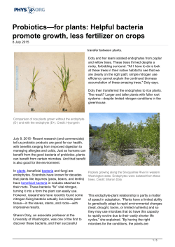 Probiotics&mdash;for plants: Helpful bacteria promote growth