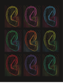 The Surgical Technologist MARCH 2007