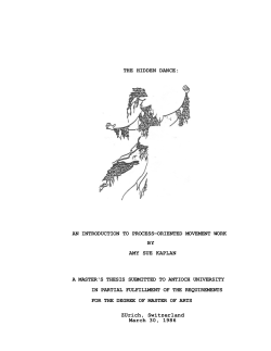 the hidden dance - Process Work Institute
