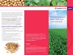 Helping soybeans reach their true yield potential