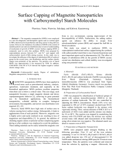 Surface Capping of Magnetite Nanoparticles with Carboxymethyl
