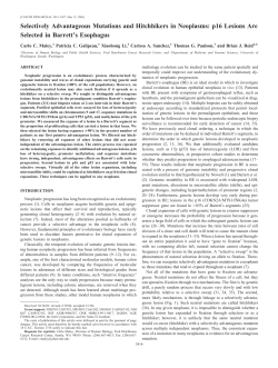 Selectively Advantageous Mutations and Hitchhikers in Neoplasms