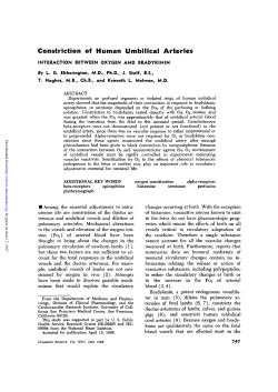 Constriction of Human Umbilical Arteries