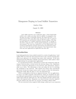 Manganese Doping in Lead Sulfide Nanowires