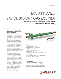 ECLIPSE WGD THROUGHPORT GAS BURNER