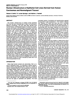 Nuclear Ultrastructureof EpithelialCell Lines
