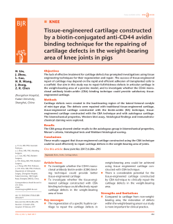 Tissue-engineered cartilage constructed by a biotin