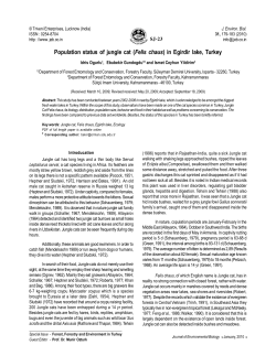 Population status of jungle cat (Felis chaus) in Egirdir lake, Turkey