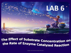 The Effect of Substrate Concentration on the Rate of Enzyme