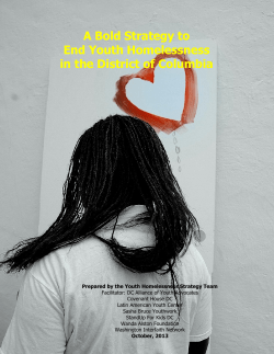 Five Year Plan for Addressing Youth Homelessness