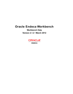 Oracle Endeca Workbench
