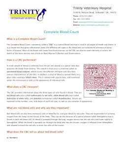 Complete Blood Count - Trinity Veterinary Hospital