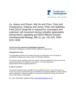 Swap70b is required for convergent and extension cell movement